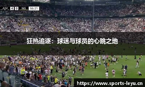 狂热追逐：球迷与球员的心跳之地