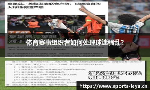 体育赛事组织者如何处理球迷骚乱？